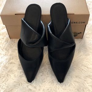 Pointed Toe Flats